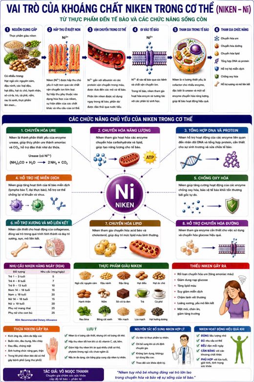 Bảng vai trò của niken trong cơ thể