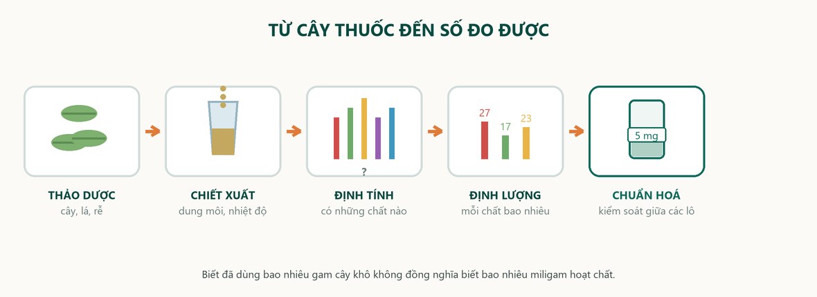 Sơ đồ năm chặng từ thảo dược tới chuẩn hoá